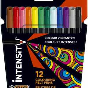 ESTUCHE 12 ROTULADORES INTENSITY PUNTA MEDIA BIC