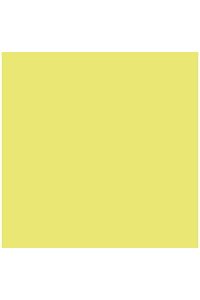 PAQ/25 CARTULINAS IRIS 50X65 185G. KIWI