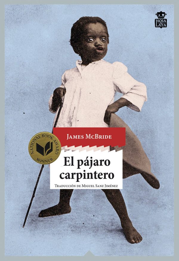 EL PÁJARO CARPINTERO HOJA DE LATA