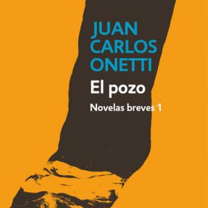 EL POZO DEBOLSILLO