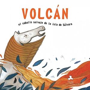 Volcán TRIQUETA VERDE