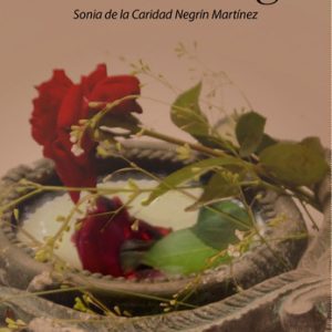 LAS MEDIOSIGLO CITMATEL (IBD)