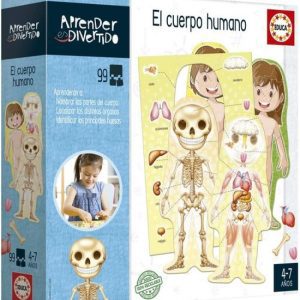 EL CUERPO HUMANO