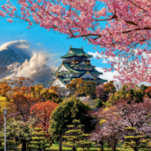 JAPON CASTILLO DE OSAKA PUZZLE 2000 PIEZAS