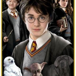 HARRY POTTER MINIATURE PUZZLE 1 1000 PIEZAS