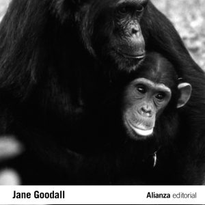 A través de una ventana: Treinta años estudiando a los chimpancés ALIANZA