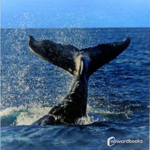 Animales del mar NOWORDBOOKS SCP
