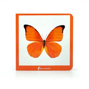 NARANJA NOWORDBOOKS SCP
