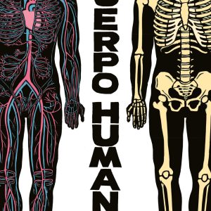 El cuerpo humano EDELVIVES