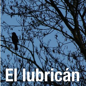 El lubricán BIBLIOTECA ONLINE
