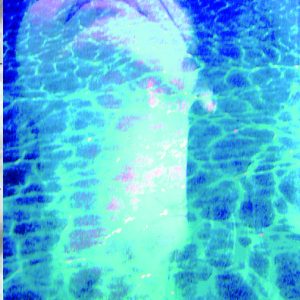 Ofelia en el Infierno IBD QUARES