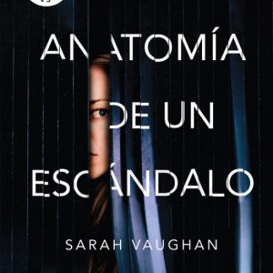 ANATOMÍA DE UN ESCÁNDALO ROCABOLSILLO