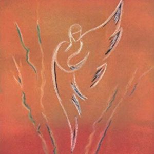 Conversaciones con un ángel NOA EDICIONES