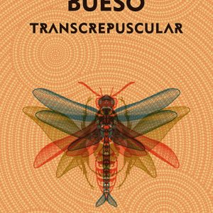 TRANSCREPUSCULAR GIGAMESH