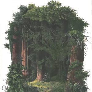 CORAZON DE LAS TINIEBLAS