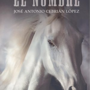 El nombre PUNTO DIDOT