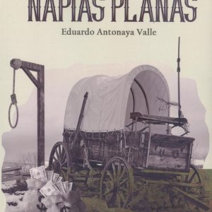 NAPIAS PLANAS PUNTO DIDOT