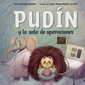 Pudín y la sala de operaciones BABIDI-BU
