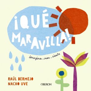 ¡Qué maravilla! ANAYA MULTIMEDIA