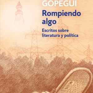 ROMPIENDO ALGO DEBOLSILLO