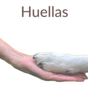 Huellas IR INDO