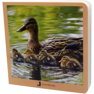 Animales en familia NOWORDBOOKS SCP