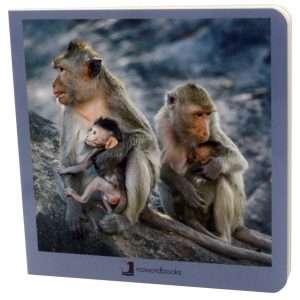 Animales en familia 2 NOWORDBOOKS SCP