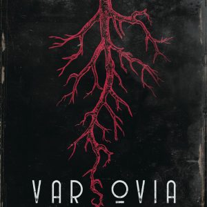 VARSOVIA INSOLITA