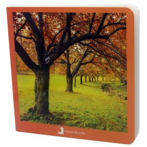Otoño NOWORDBOOKS SCP