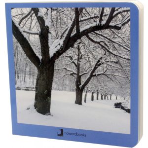 INVIERNO NOWORDBOOKS SCP
