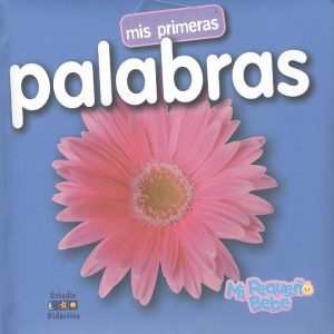 MIS PRIMERAS PALABRAS ESTUDIO DIDACTICO