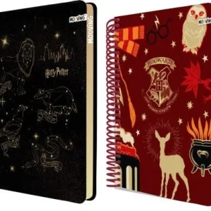 CUADERNO PREMIUM HARRY POTTER 20.5X28CM MODELOS SURTIDOS
