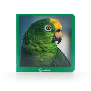 Verde AA.VV.