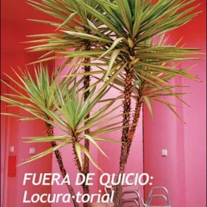 Fuera de Quicio Ana Roca 2025