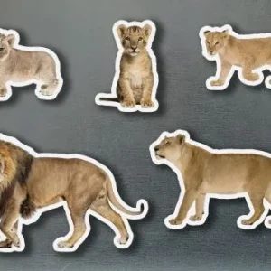 Magnéticos familias leones AA.VV.