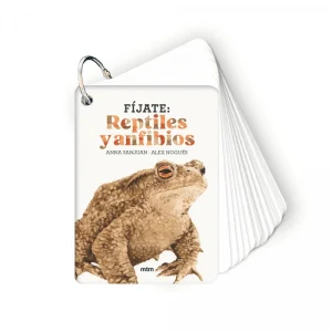 Fíjate: reptiles y anfibios Anna Sanjuan Llorens 2025