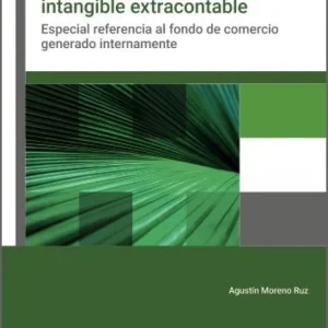 CUANTIFICACIÓN DE LOS VALORES DE LA EMPRESA DE ORIGEN INTANGIBLE EXTRA Moreno Ruiz, Agustín 2026