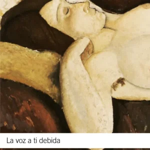 LA VOZ A TI DEBIDA SALINAS, PEDRO 2012