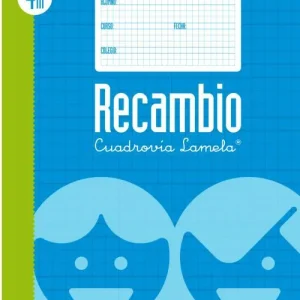 RECAMBIO Fº 100H 70G CUADROVIA 4MM 4 ANILLAS