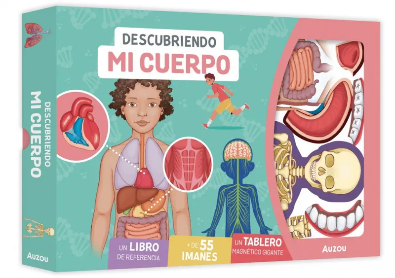 DESCUBRIENDO MI CUERPO. TABLERO MAGNETICO PEDROLA, ADELE 2026