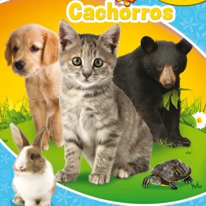 Cachorros. Libroaventuras AA. VV. 2020