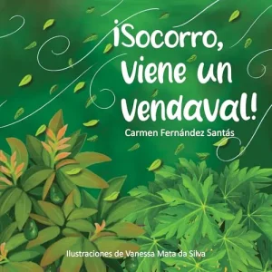 SOCORRO VIENE UN VENDAVAL ! FERNANDEZ SANTAS CARMEN 2025