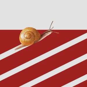 HONG MAIER, GONZALO 2026