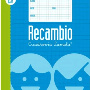 RECAMBIO Fº 100H 70G CUADROVIA 2.5MM 4 ANILLAS