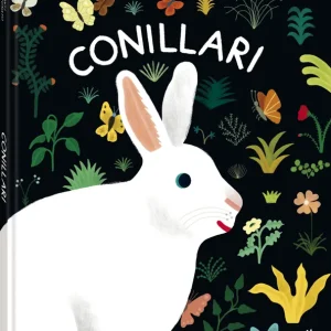 Conillari Ilaria, Demonti 2025