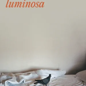 La novela luminosa Levrero,Mario 2009