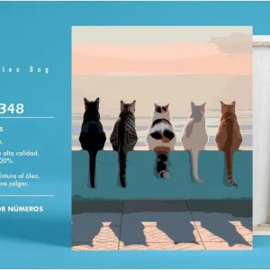 Bastidor pintar por numeros five cats 40x50cm