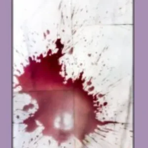 PoesíaesVino AA VV 2019