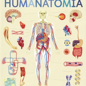 Humanatomía Edwards, Nicola 2024