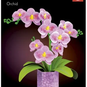 ORQUIDEA ARTE FLORAL